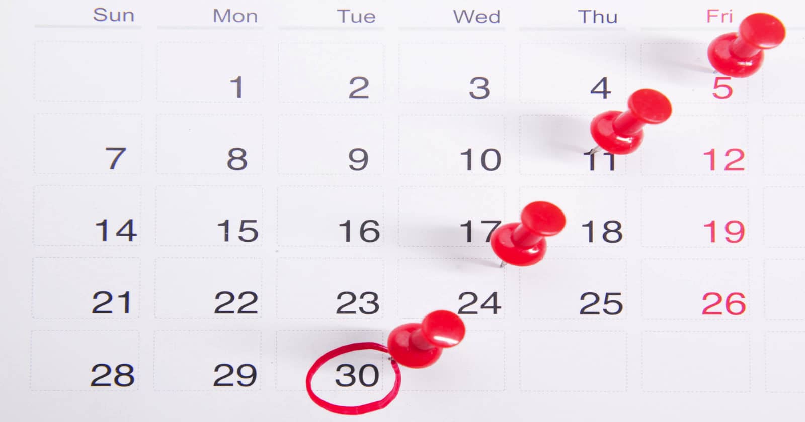 How often to play lottery