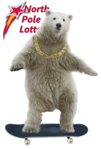 polarskate